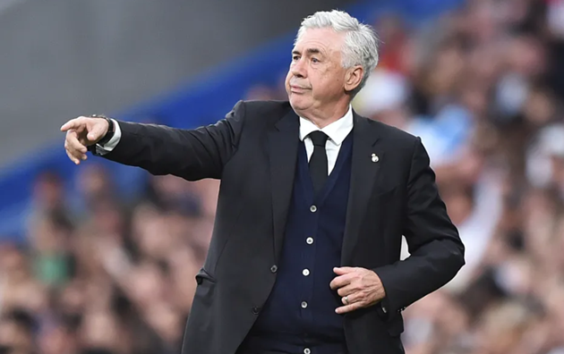 Ancelotti: “Tôi không phải người làm vườn”_695c30b15da0b.png